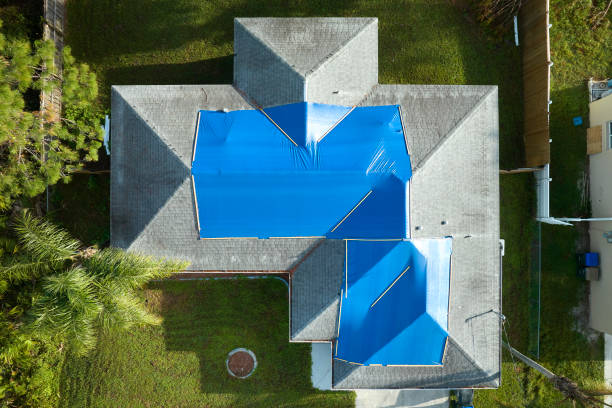 Best Roof Leak Repair  in Norwood, OH